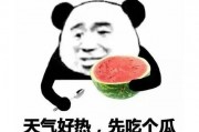 黑料吃瓜网apk普通安装 