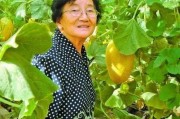 黑料吃瓜网apk普通安装 